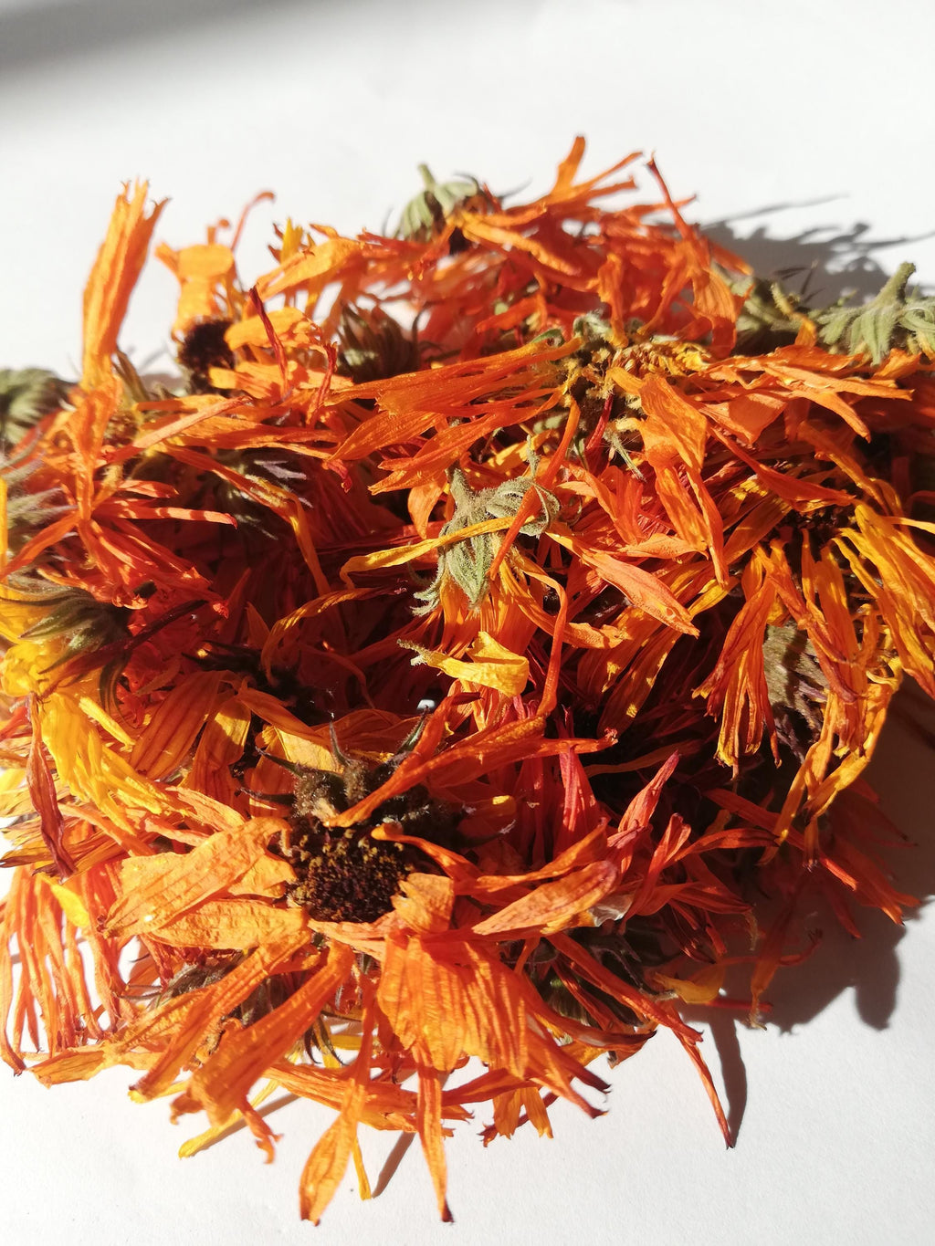 Medicinal Herbs/Plantes medicinales