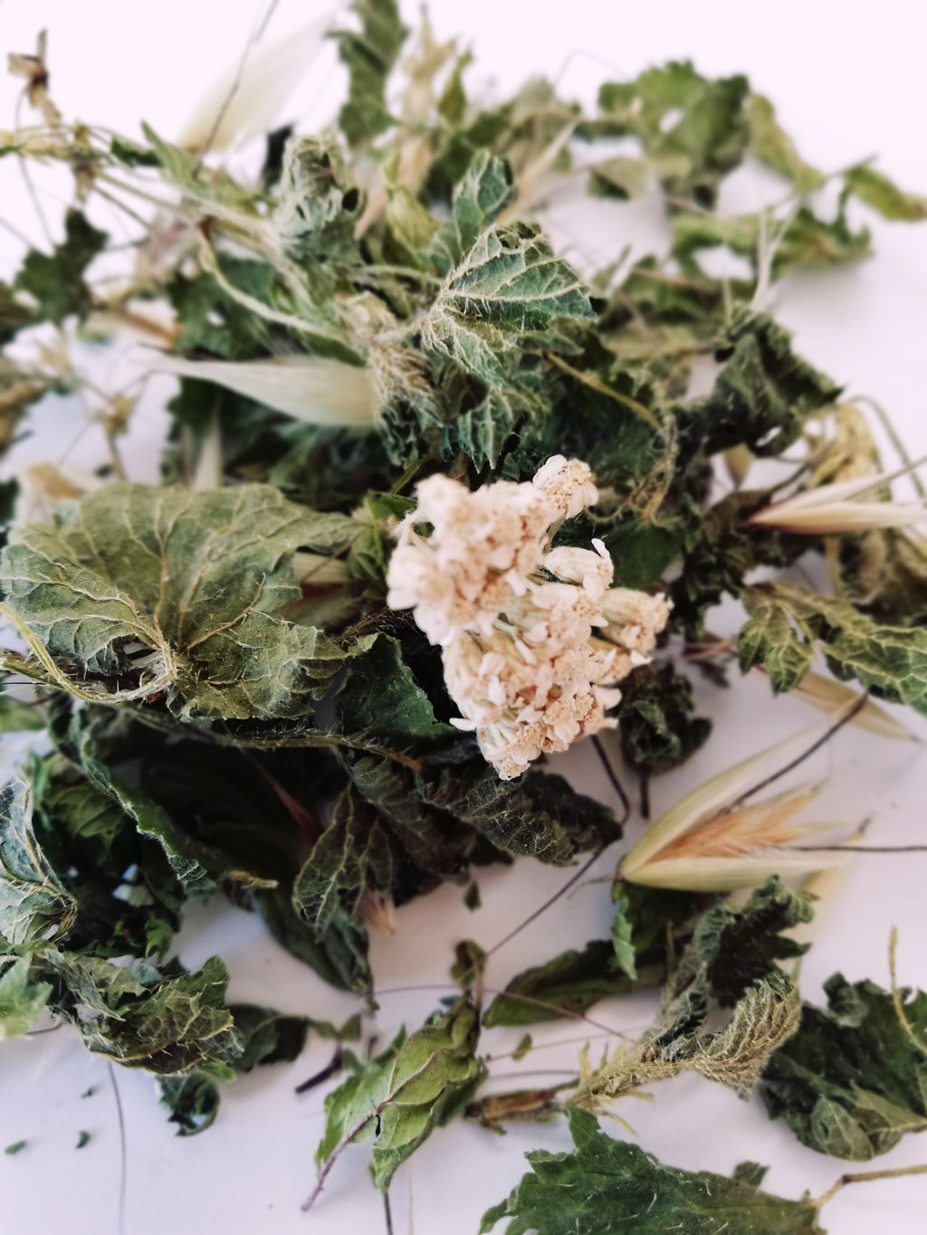 New Moon Herbal Blend/ Nouvelle Lune Tisane