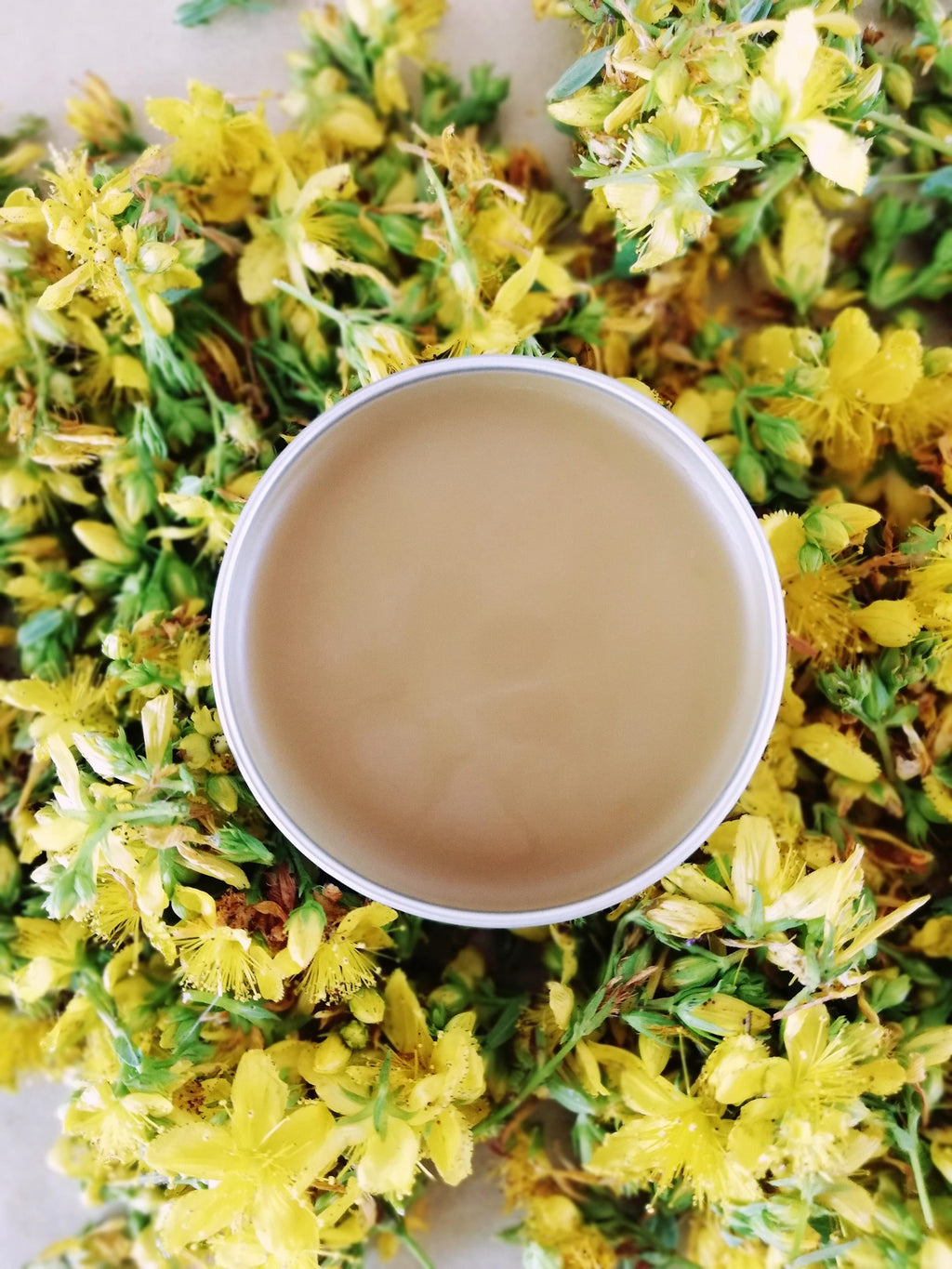St.John's Wort salve/Baume au millepertuis